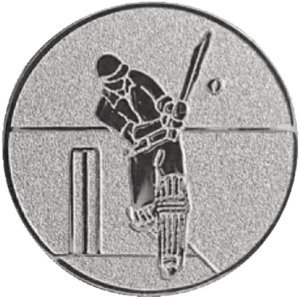 Cricket Zilver