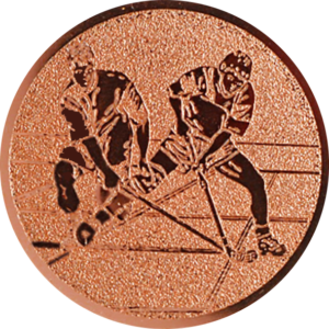 Zaalhockey Brons