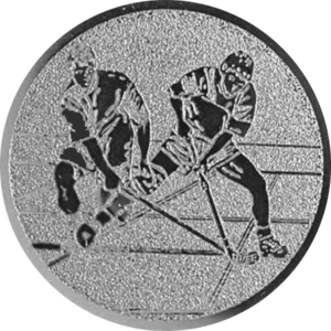 Zaalhockey Zilver