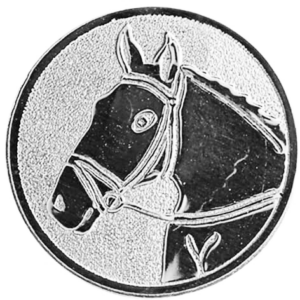 Paardenhoofd Zilver