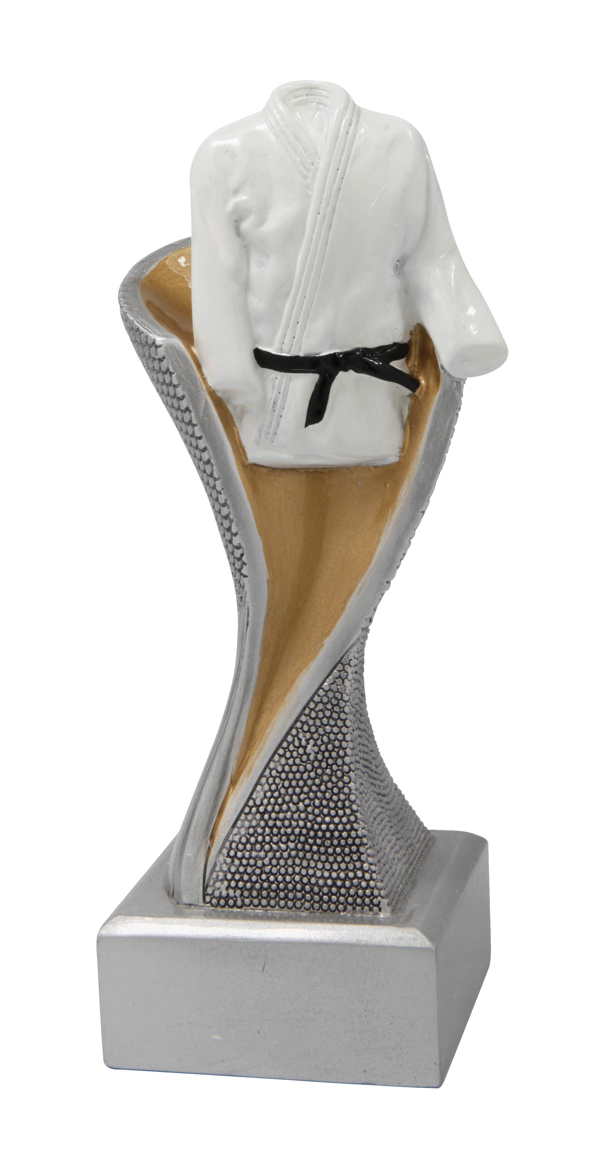 FG4050 beeld "vechtsporten"