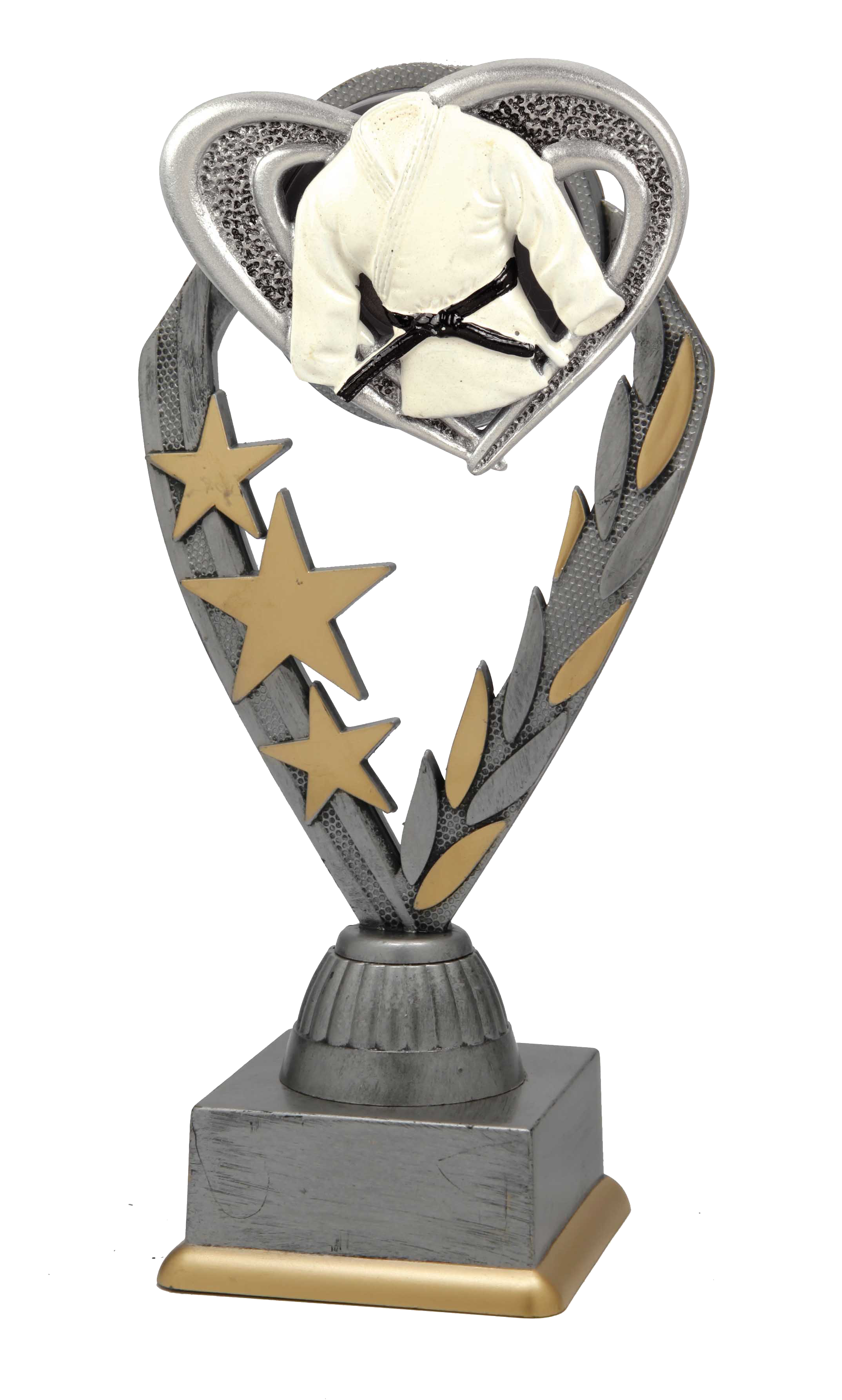 PFS006 standaard "vechtsporten"