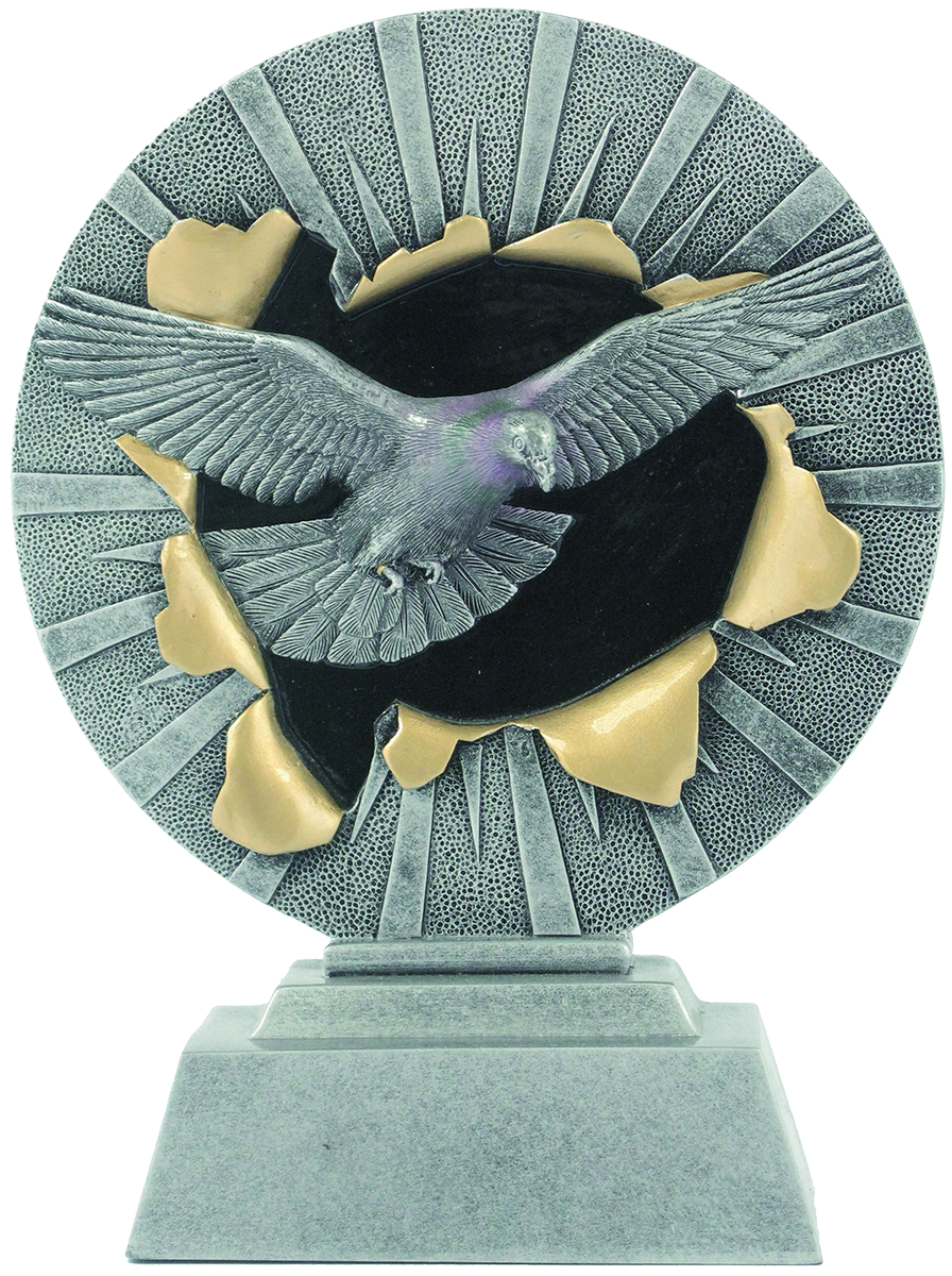 RE072 beeld "duivensport"