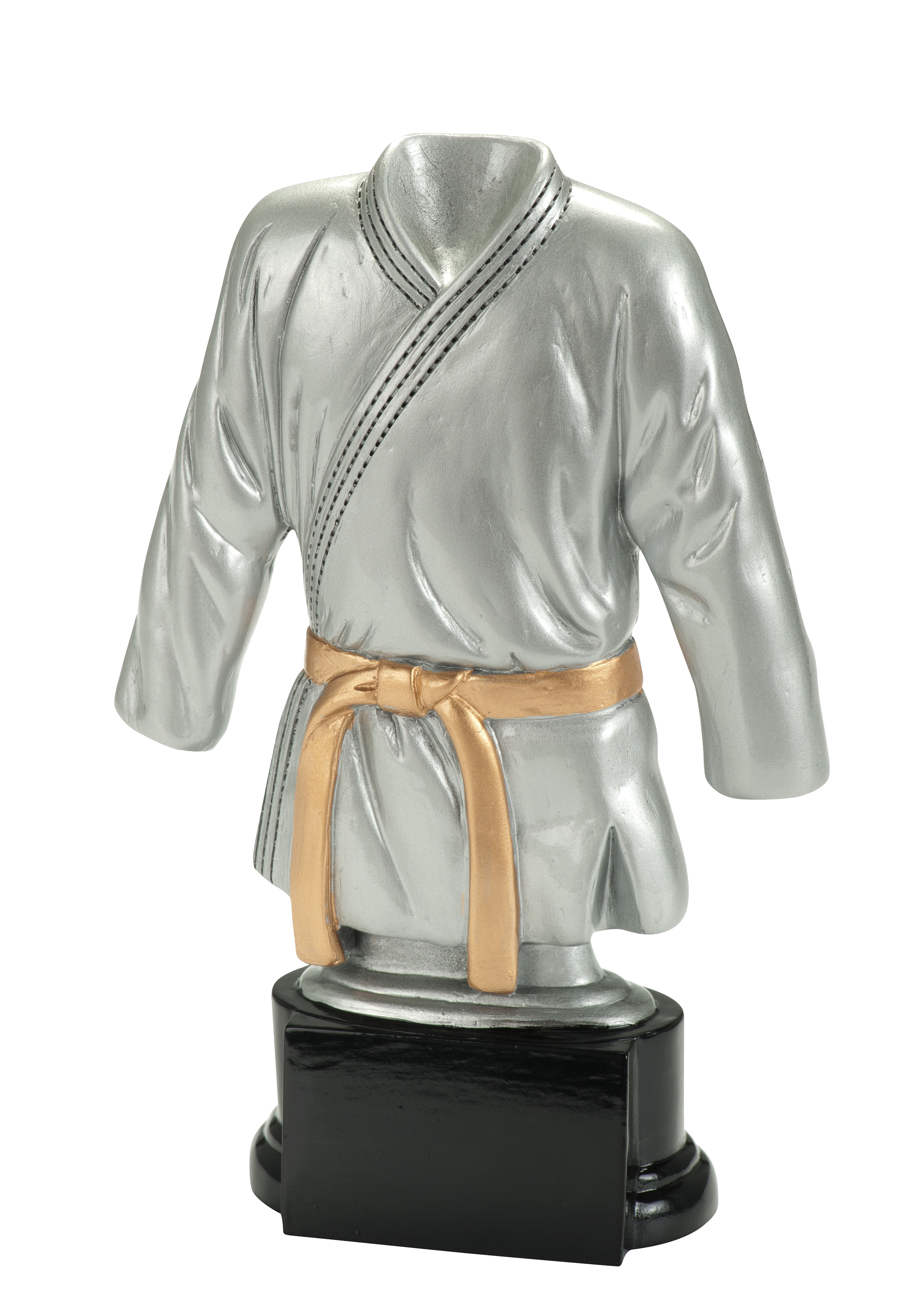 RE095 beeld "vechtsport"