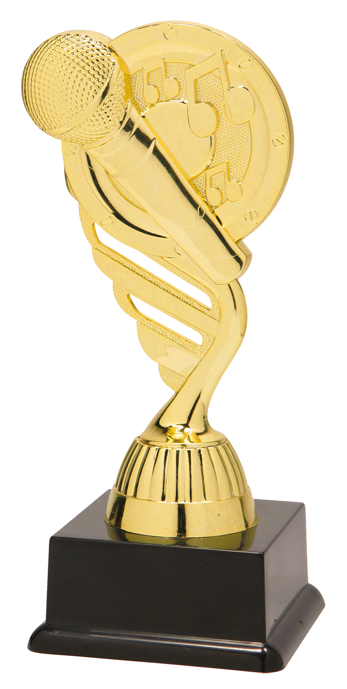 SS1807 standaard "playback"