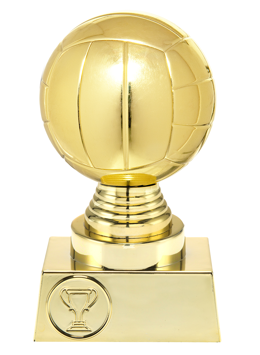 ST032 standaard "volleybal"