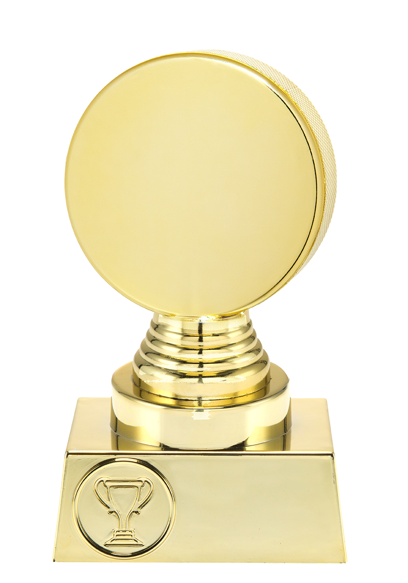 ST036 standaard "IJshockey"