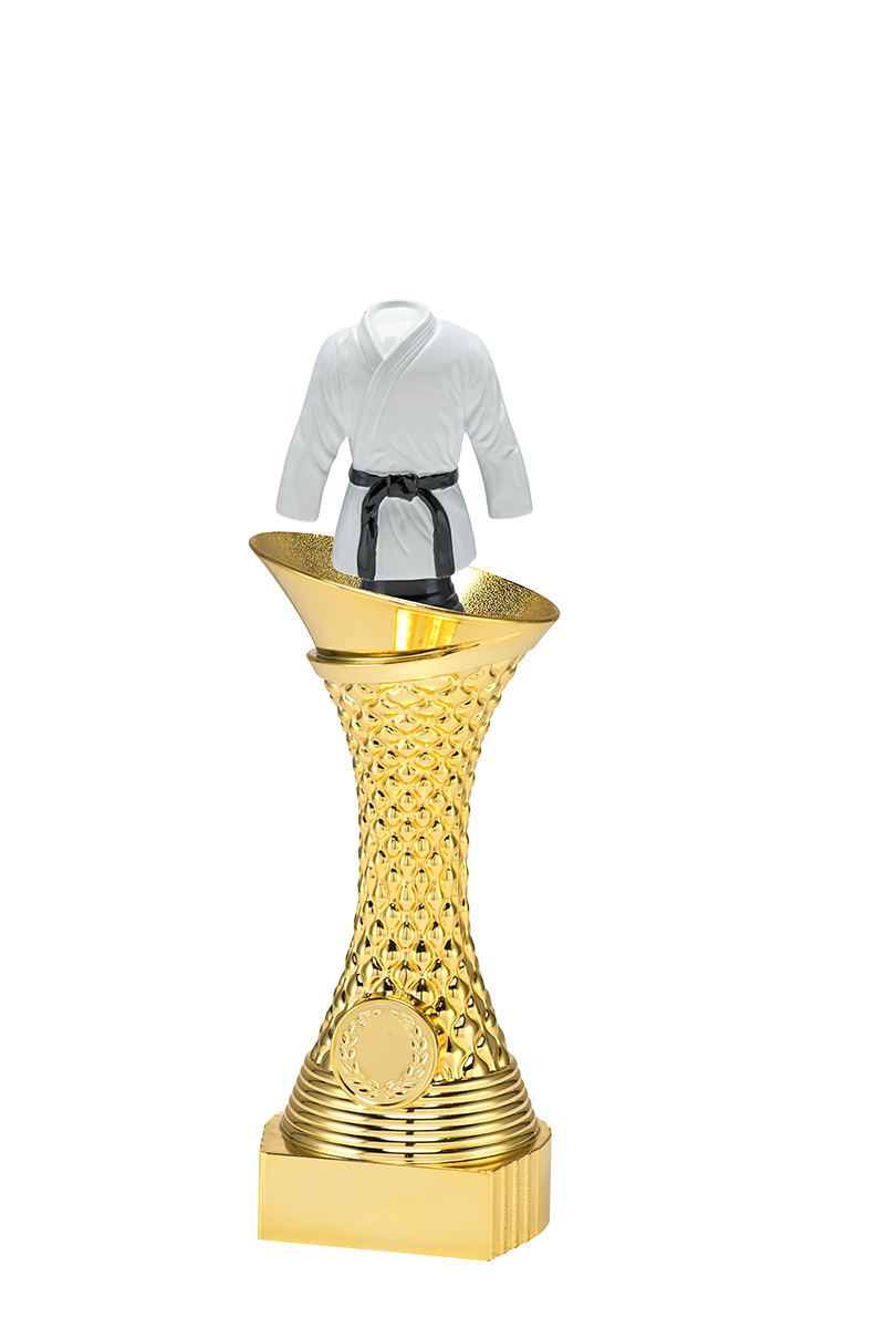 ST041 standaard "vechtsport"