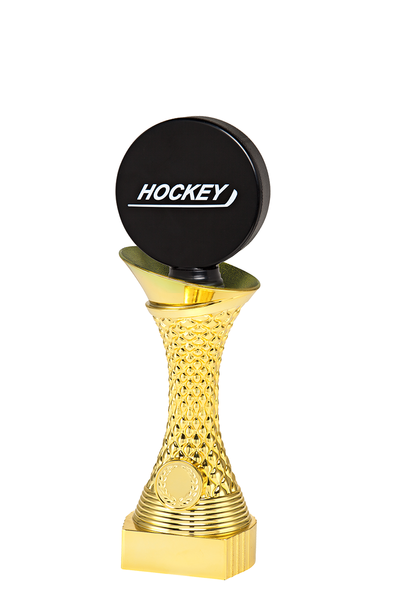 ST048 standaard "IJshockey"