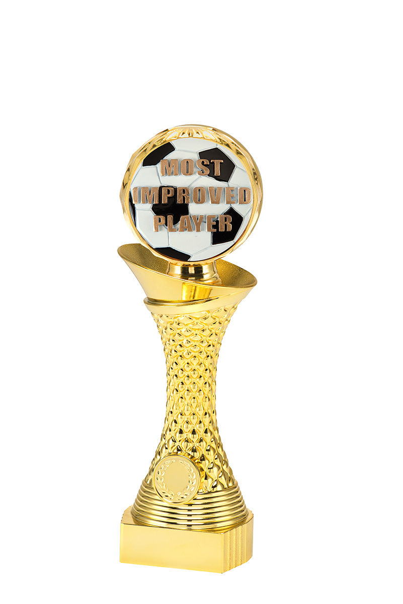 ST066 standaard "most improved player"