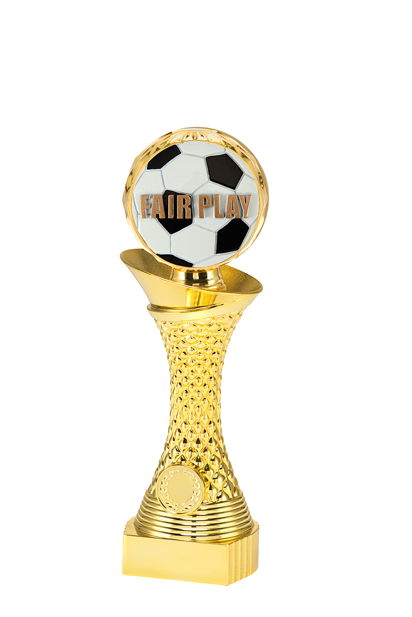 ST069 standaard "fair play"