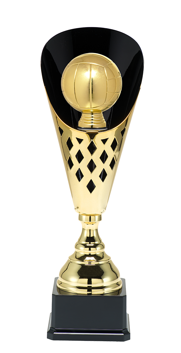 ST084 standaard "volleybal"