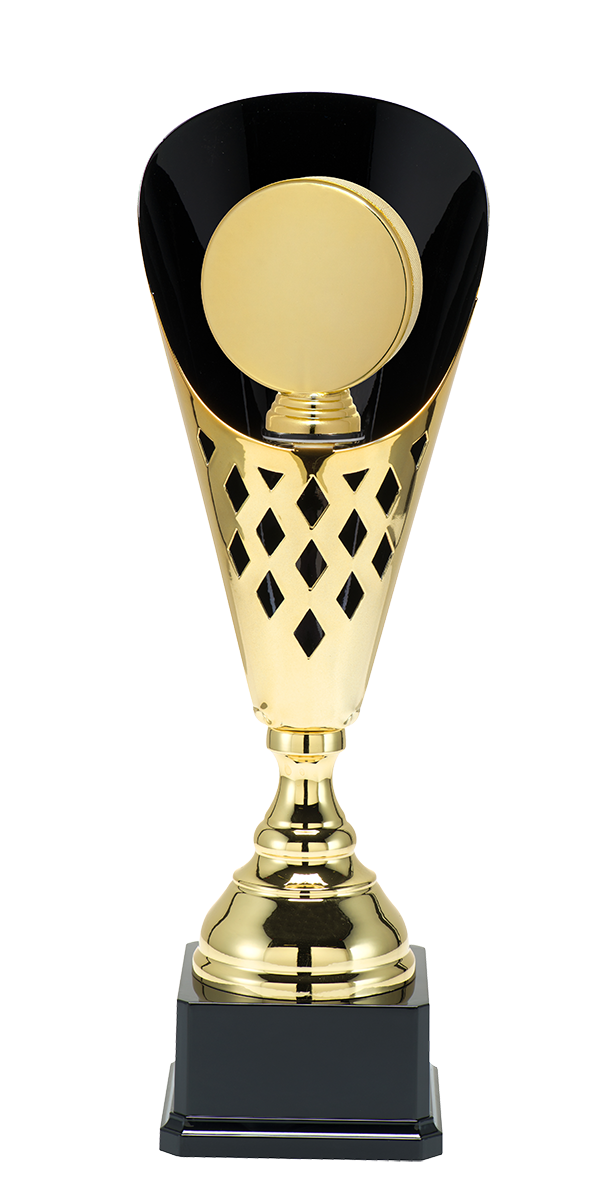 ST087 standaard "IJshockey"