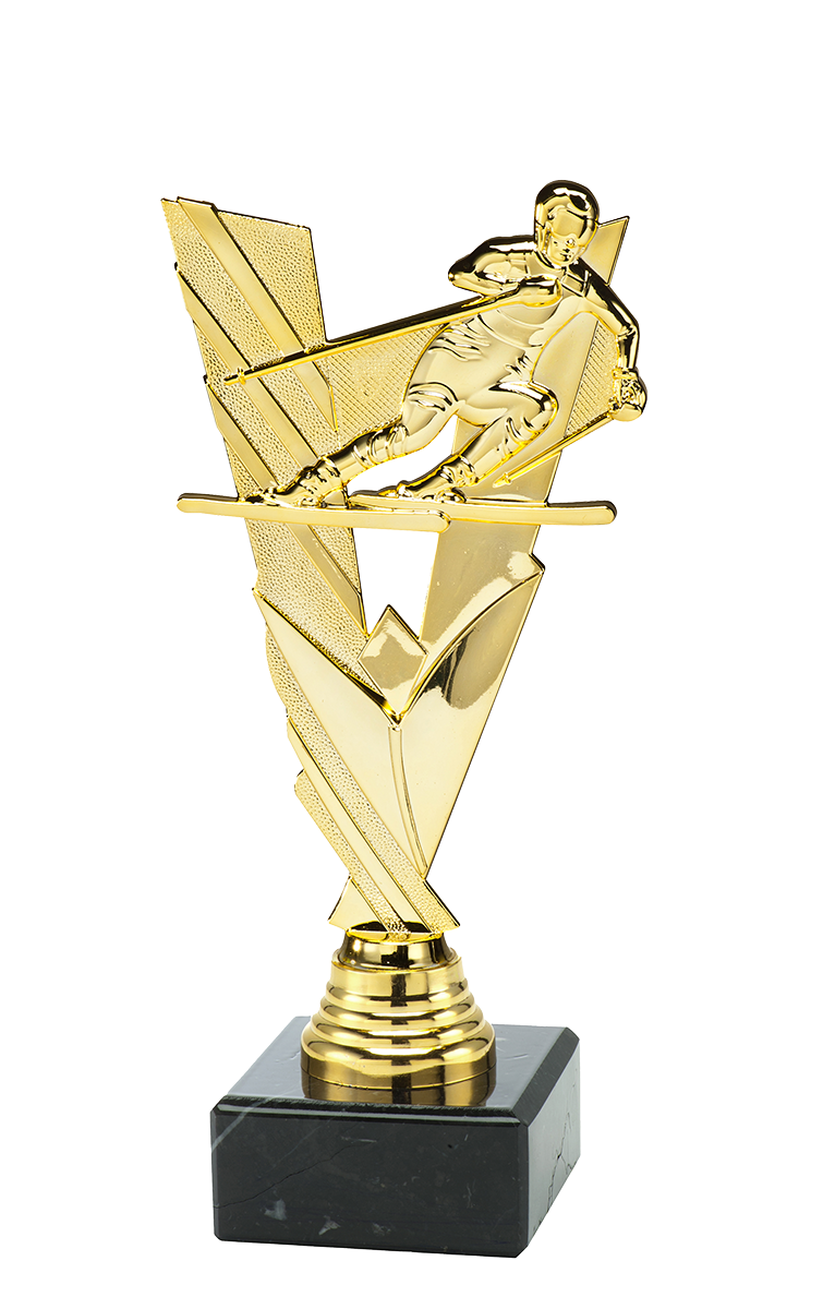 ST187 standaard "skiën"