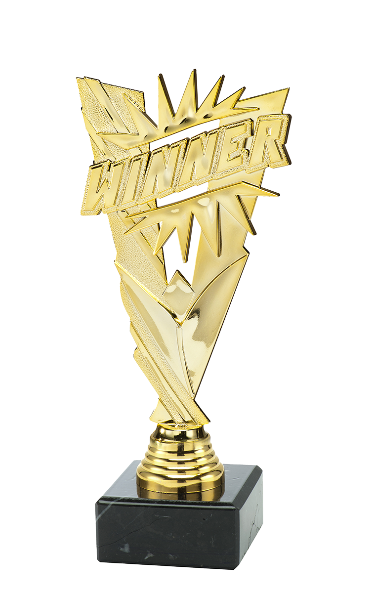 ST189 standaard "winner"