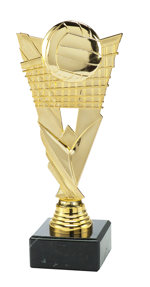 ST204 standaard "volleybal"