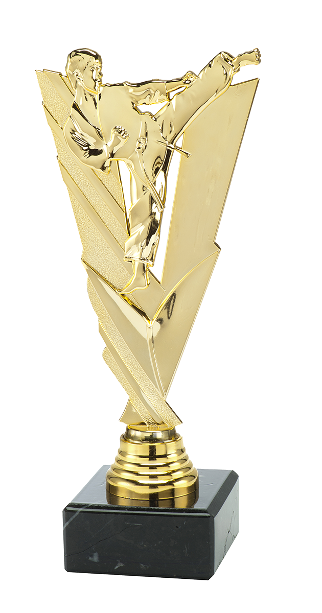 ST208 standaard "karate"