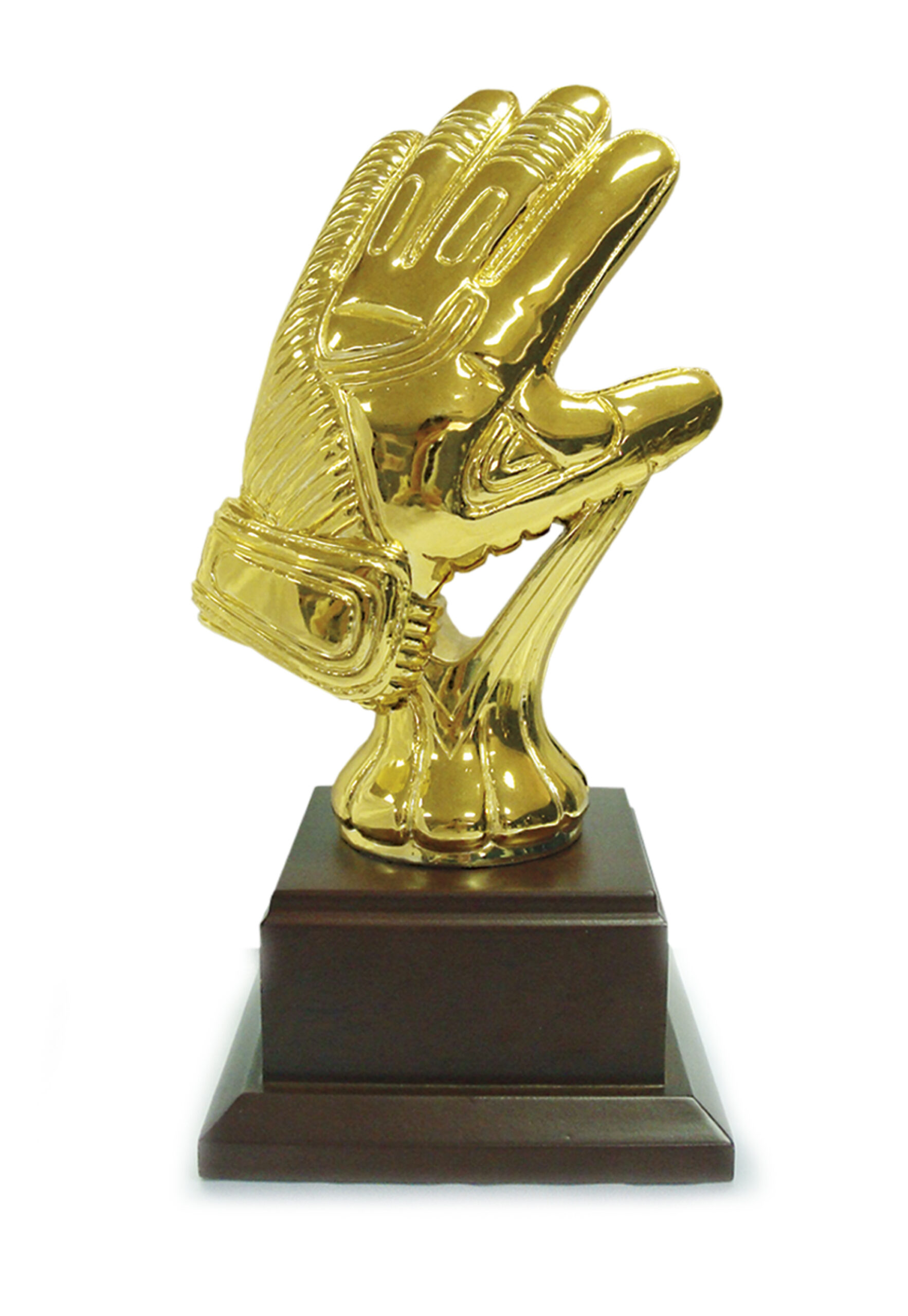 Z100 beeld "keepershandschoen"