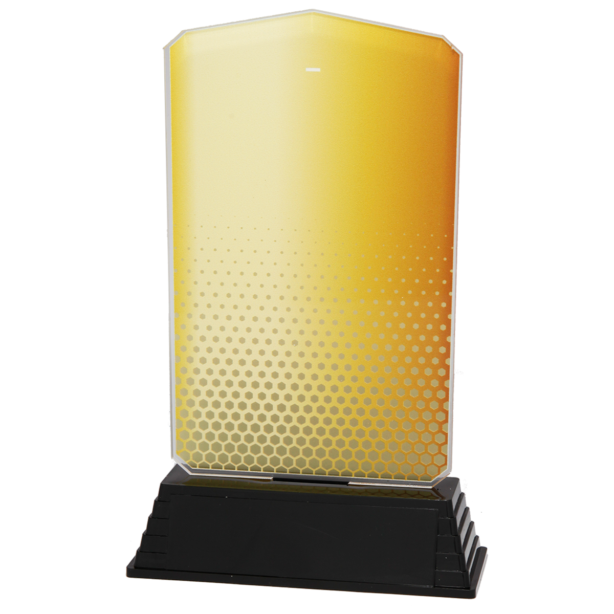 AC100 Acrylstandaard goud - Afbeelding 2