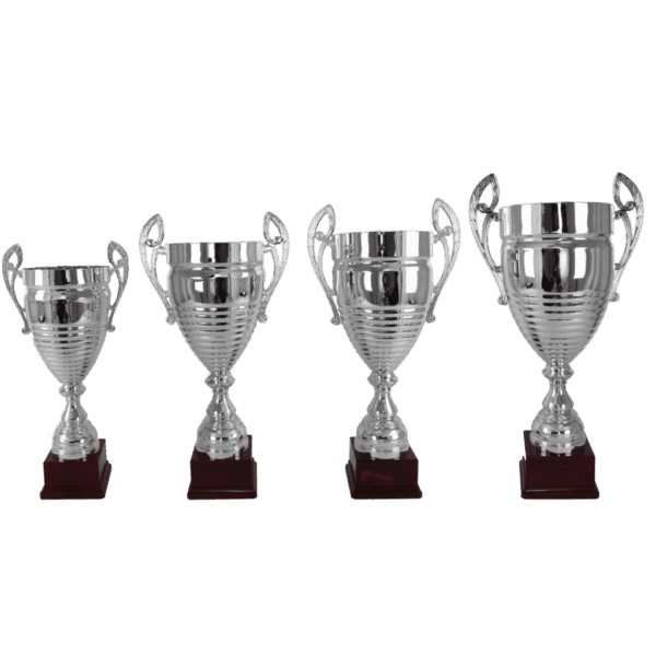 KR.9310 - Afbeelding 2